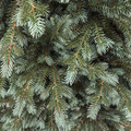 Brad artificial Christmas Deluxe by Sersimo, Alaska Select verde argintiu, integral 3D, 300 cm