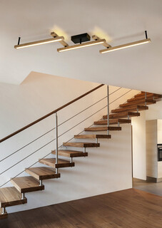 Natur;Negru, Plafoniera