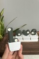 Trinket, Love Cactus, 17.5x4.5x7 cm, 100% BIOPLASTIC, Verde/Alb
