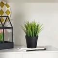 Ghiveci, 241348, CORP DE PLASTIC, Negru/Verde