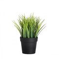 Ghiveci, 241348, CORP DE PLASTIC, Negru/Verde