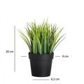 Ghiveci, 241348, CORP DE PLASTIC, Negru/Verde