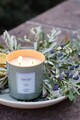 Set de lumanari, Le Jardin Citrus Sage, Sticla, Verde