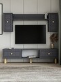 Comoda TV, Hanah Home, Dario Bohem, 150x44.6x29.6 cm, PAL , Antracit
