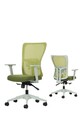 Set scaune de birou (2 piese), Hanah Home, Lumbar 108, Plastic, Verde