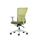 Set scaune de birou (2 piese), Hanah Home, Lumbar 108, Plastic, Verde