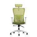 Set scaune de birou (2 piese), Hanah Home, Lumbar 126, Plastic, Verde