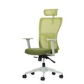 Set scaune de birou (2 piese), Hanah Home, Lumbar 126, Plastic, Verde