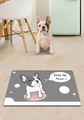 Covoras litiera pentru colectarea granulelor de nisip, Paws & Whiskers, Feed Me, PVC, Multicolor