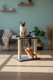 50x48x35 cm, Antracit