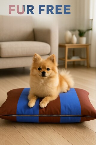 Pat pentru animale de companie, Paws & Whiskers, Fur Free 50 x 70, Material exterior: 100% poliester, Maro/Mov