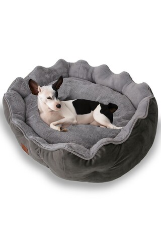 Pat pentru animale de companie, Paws & Whiskers, Elsa Dog S, Material exterior: 100% poliester, Antracit