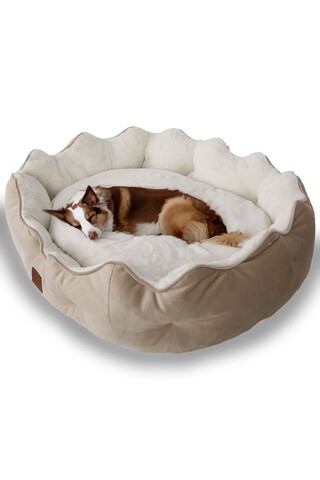 Pat pentru animale de companie, Paws & Whiskers, Elsa Dog S, Material exterior: 100% poliester, Crem