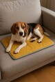 Pat pentru animale de companie, Paws & Whiskers, Thermo Mat 40 x 60, Material exterior: 100% poliester, Galben
