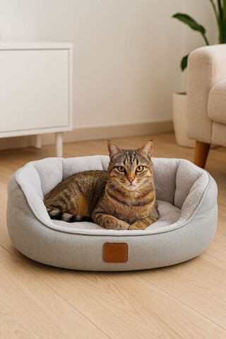 Pat pentru animale de companie, Paws & Whiskers, Coco M, Material exterior: 100% poliester, Gri