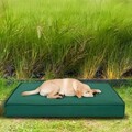 Pat pentru animale de companie, Paws & Whiskers, Eva Garden Dog L, Material exterior: 100% poliester, Verde