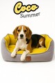 Pat pentru animale de companie, Paws & Whiskers, Coco Summer M, Material exterior: 100% poliester, Galben
