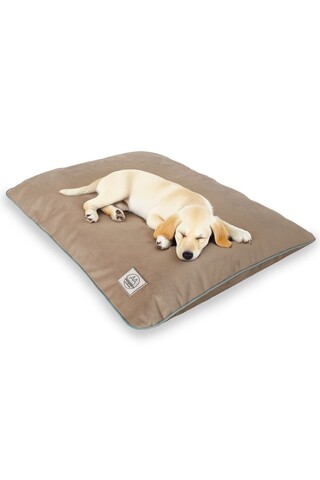 Pat pentru animale de companie, Paws & Whiskers, Puppy Dog L, Material exterior: 100% poliester, Bej