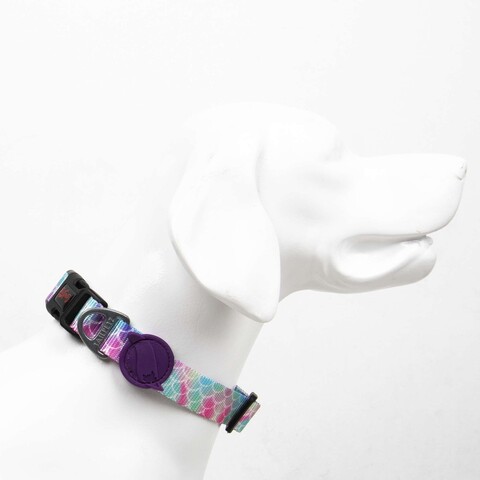 Zgarda pentru câini, Paws & Whiskers, Bubles, Poliester, Multicolor