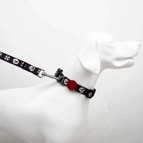 Lesă pentru câini, Paws & Whiskers, Boo Small, Poliester, Multicolor