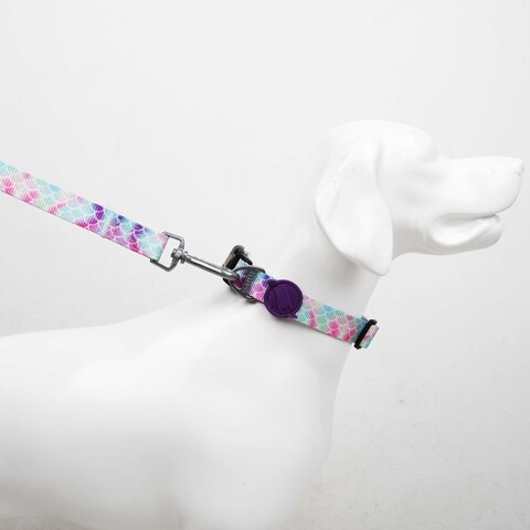 Lesă pentru câini, Paws & Whiskers, Bubles Small, Poliester, Multicolor