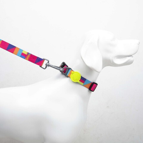 Lesă pentru câini, Paws & Whiskers, Spirit Small, Poliester, Multicolor