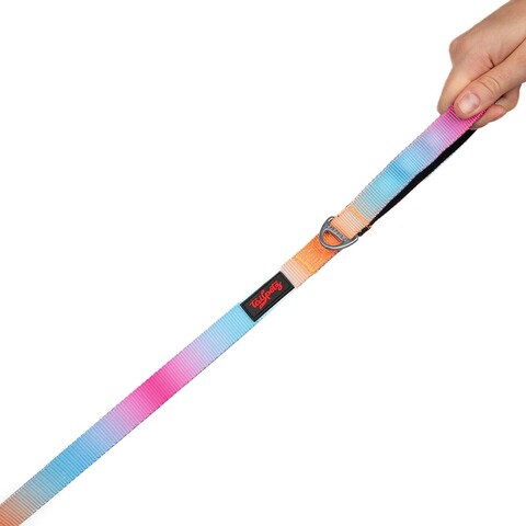 Lesă pentru câini, Paws & Whiskers, Pass Medium, Poliester, Multicolor