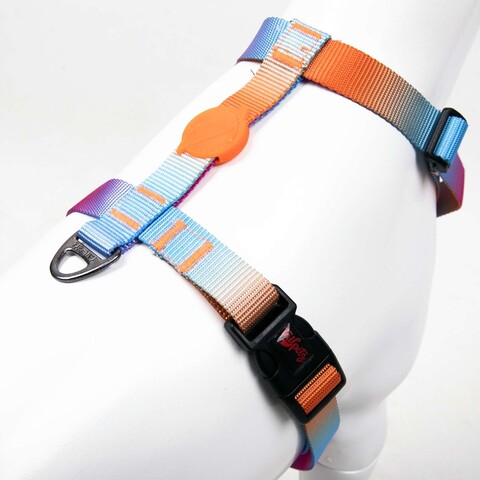 Ham pentru câini, Paws & Whiskers, Pass, Poliester, Multicolor