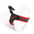Ham pentru câini, Paws & Whiskers, V-Harness, Poliester, Rosu