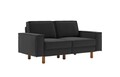Canapea 2 locuri, Atelier del Sofa, 918CMF1223, Otel, Gri noapte / Nuc
