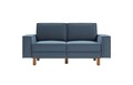 Canapea 2 locuri, Atelier del Sofa, 918CMF1222, Otel, Albastru oceanic / Nuc