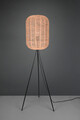 Lampadar Runa, TRIO, 35x150 cm, 40W, 1x E27, metal, negru mat/bej