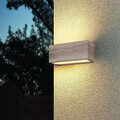 Aplica de perete pentru exterior Mayenne, TRIO, 25x11 cm, 10W, 2x E14, aluminiu, natur