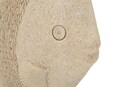 Decoratiune, Mauro Ferretti, Fish, 25.3x8.6x24.5 cm, polirasina, bej