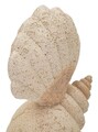 Decoratiune, Mauro Ferretti, Shell, 17.2x10x30.2 cm, polirasina, bej
