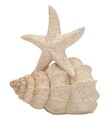 Decoratiune, Mauro Ferretti, Star Fish, 18x13x21.2 cm, polirasina, bej