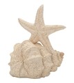 Decoratiune, Mauro Ferretti, Star Fish, 18x13x21.2 cm, polirasina, bej