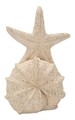 Decoratiune, Mauro Ferretti, Star Fish, 18x13x21.2 cm, polirasina, bej