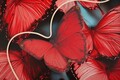 Tablou decorativ cu LED, Mauro Ferretti, Butterflies, 60x90 cm, canvas/MDF, multicolor