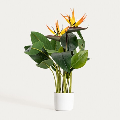 Planta artificiala Strelitzia, Botanic, Homla, 75 cm, plastic, multicolor