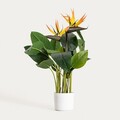 Planta artificiala Strelitzia, Botanic, Homla, 75 cm, plastic, multicolor