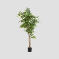 Planta artificiala ficus Topical Zone, Homla, 170 cm, plastic, verde