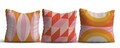 Set fete de perna, Asr_plw25, Multicolor