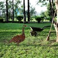 Obiect decorativ de grădină, Goose -A 01, 64x44 cm, Multicolor