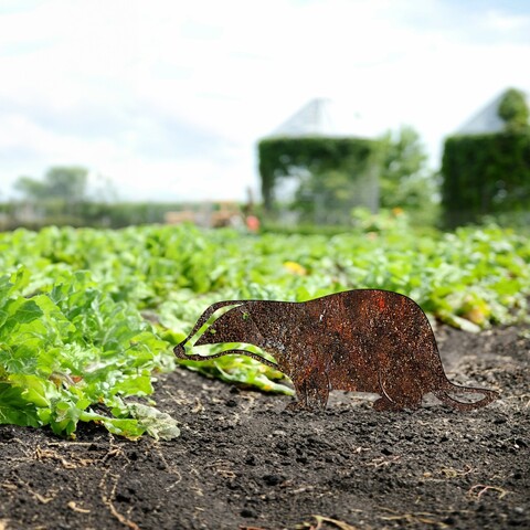 Obiect decorativ de grădină, Badger -A 01, 32x45 cm, Multicolor