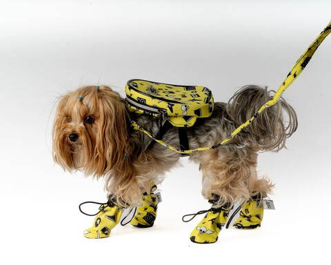 Încălțăminte pentru câini, Paws & Whiskers, Shoe, Galben