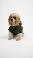 Hanorac pentru câini, Paws & Whiskers, Froggy Welsoft Jacket, Verde