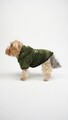 Hanorac pentru câini, Paws & Whiskers, Froggy Welsoft Jacket, Verde