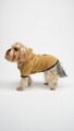 Hanorac pentru câini, Paws & Whiskers, Teddy Welsoft Jacket, Verde