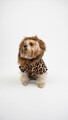 Hanorac pentru câini, Paws & Whiskers, Leopar Coat, Multicolor
